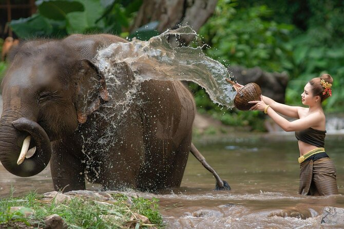 Chitwan National Park Tour - Day 2: Canoeing, walking, and a jeep safari
