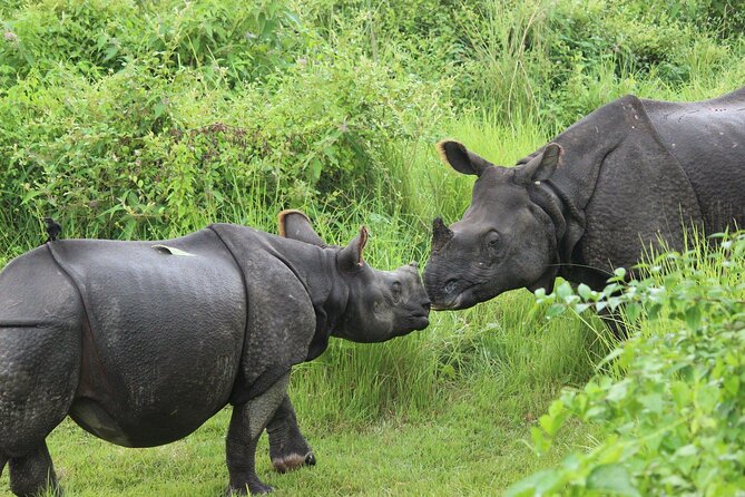 Chitwan National Park Tour - What the $144 price really covers