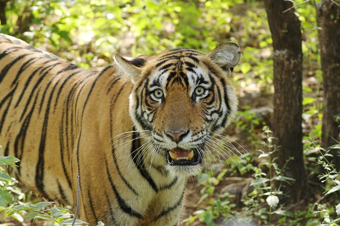 Chitwan National Park Tour - Day 1: Leaving Kathmandu for Chitwan