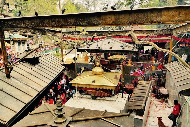 Escorted Full Day Pharping, Dakshinkali and Kirtipur Day Trip with Newari Lunch - Dakshinkali and the valley’s most confronting shrine