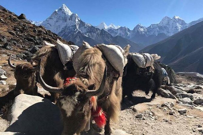 Everest Base Camp Trek 12 Days – Best Himalayan Adventure - Dingboche and the serious altitude section