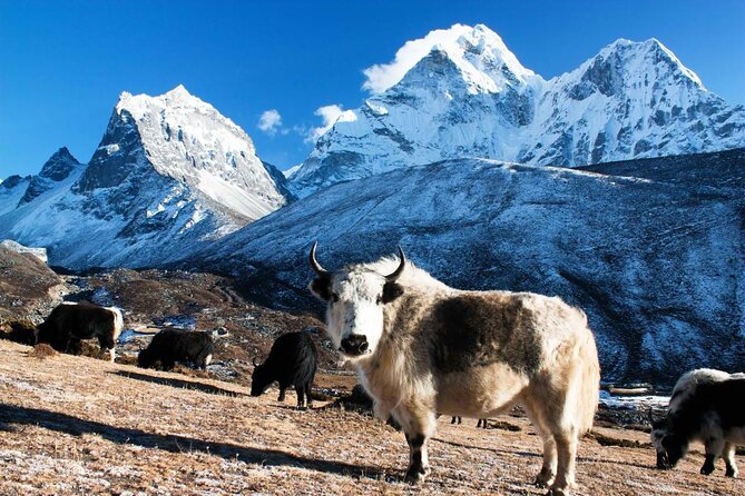 Everest Base Camp Trekking - Key points to know before booking