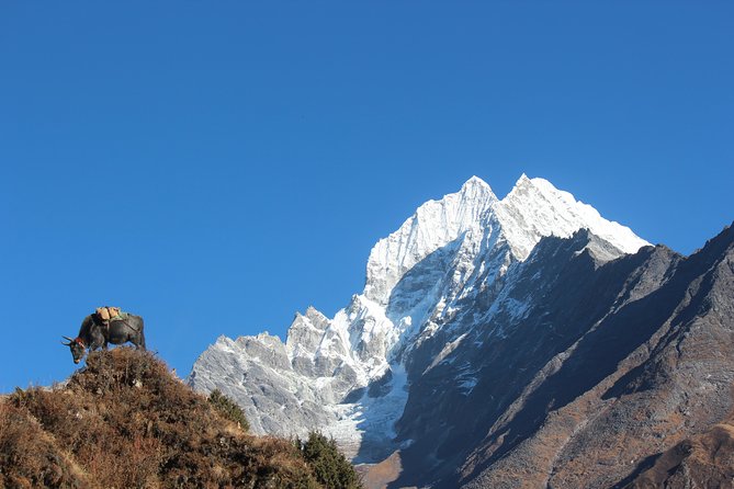 Everest Three Pass Trek - Day 7: Crossing Kongma La at 5,535 meters