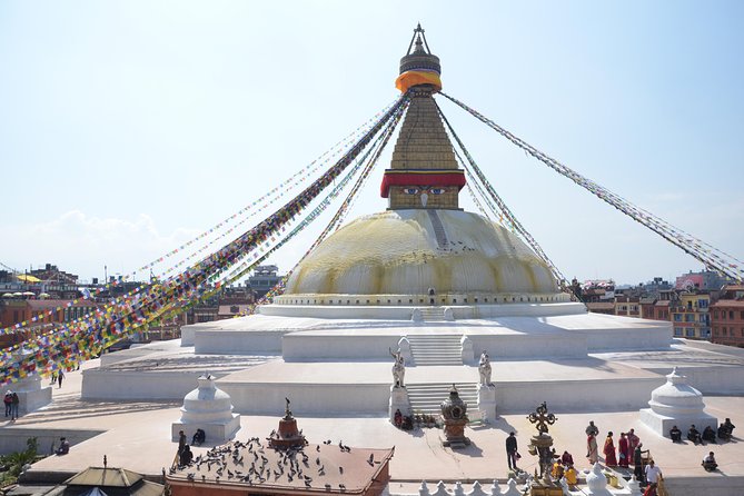 Experiential Tour of Nepal. - Chitwan: A Change from Temples to Wildlife