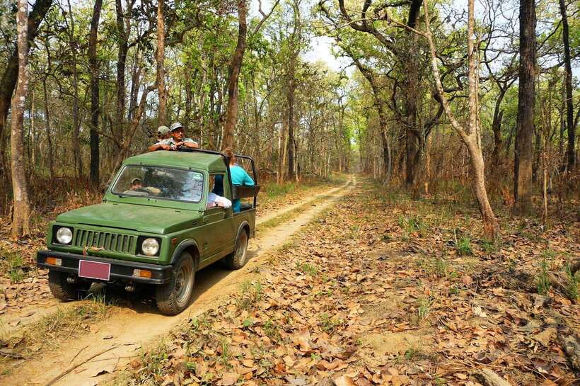 From Kathmandu/Pokhara: 2, 3, or 4-Day Chitwan Jungle Safari - Why Chitwan makes a good break from Kathmandu or Pokhara