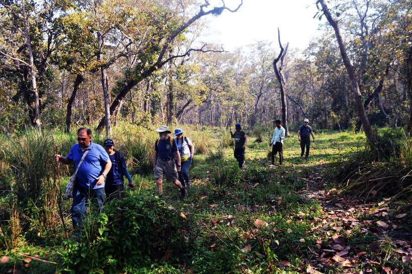 From Kathmandu/Pokhara: 2, 3, or 4-Day Chitwan Jungle Safari - Day one: Tharu village, sunset, and your first evening