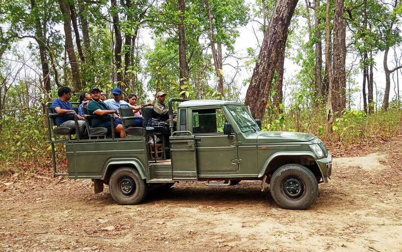 From Kathmandu/Pokhara: 2, 3, or 4-Day Chitwan Jungle Safari - The canoe ride and jungle walk