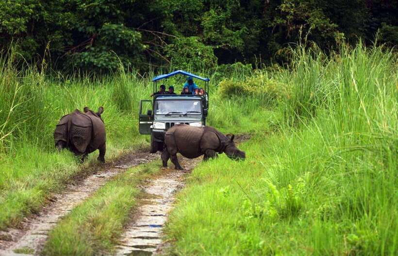 From Kathmandu/Pokhara: 2, 3, or 4-Day Chitwan Jungle Safari - Meals, rooms, and what the $35 price means