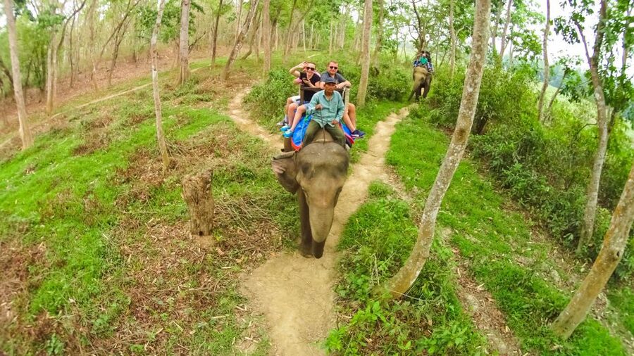 From Kathmandu/Pokhara: 3-Day All-Inclusive Chitwan Safari - Day one: Sauraha, Tharu culture, and a gentle start