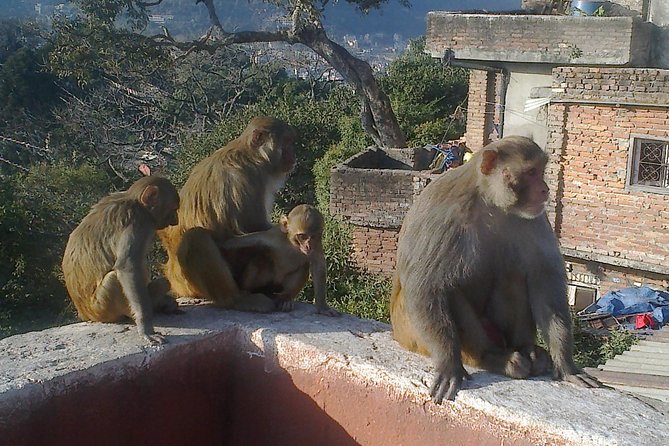 Full Day Kathmandu City Sightseeing Tour of UNESCO Heritage Sites - Timing, pickup, and practical preparation