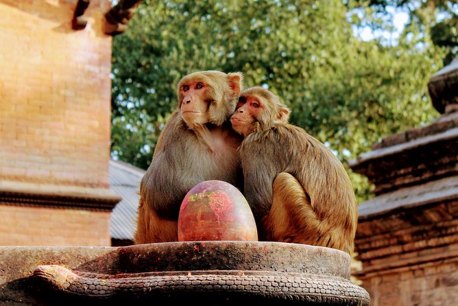 Full Day Private Tour of Kathmandu - UNESCO World Heritage Sites - Kathmandu Durbar Square and traditional royal architecture