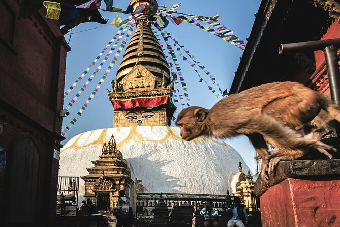 Full Day Private Tour of Kathmandu - UNESCO World Heritage Sites - Swayambhunath, the hilltop Monkey Temple