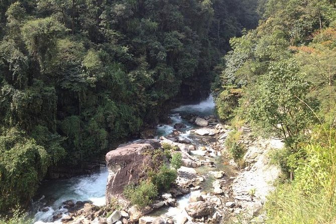 Ghorepani Poon Hill Trek - Day 3: Forest walking from Ulleri to Ghorepani