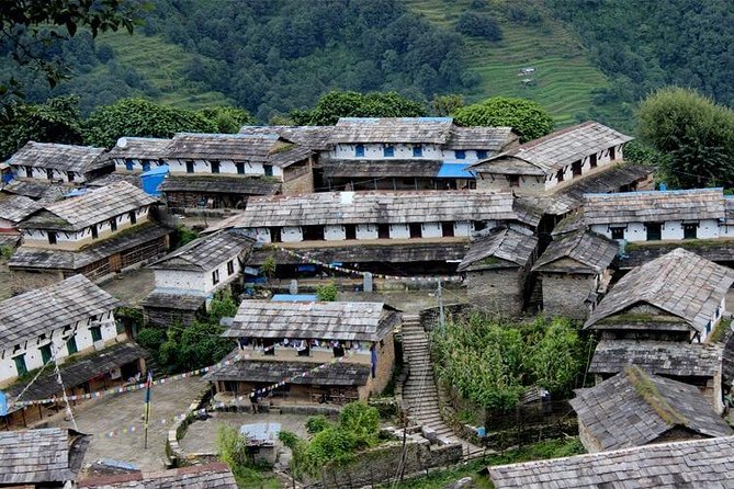 Ghorepani Poon Hill Trek - Day 4: Poon Hill before sunrise, then Tadapani