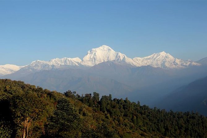 Ghorepani Poon Hill Trek - Day 5: Tadapani, Ghandruk, and the return to Pokhara