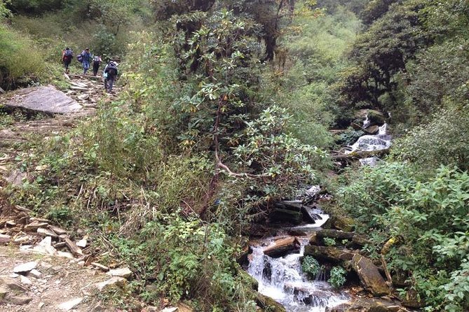 Ghorepani Poon Hill Trek - Day 2: Forest paths toward Ghorepani