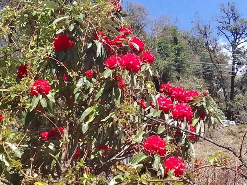 Kathmandu: 10-Day Adventurous Annapurna Circuit Trek - Day 3: Chame to Upper Pisang and the first big views