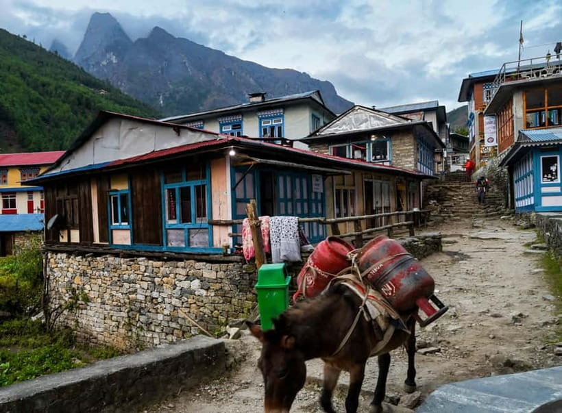 Kathmandu: 15-Day Everest Base Camp Trek with Guide - Days 1 and 2: Kathmandu, preparation before the mountains