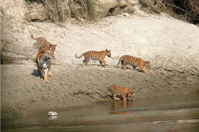 Kathmandu 2 Nights 3 Days Chitwan Jungle Safari Tour - What the $190 price really covers