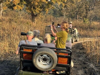 3-Day Chitwan Safari Tour with Hotel Transfers