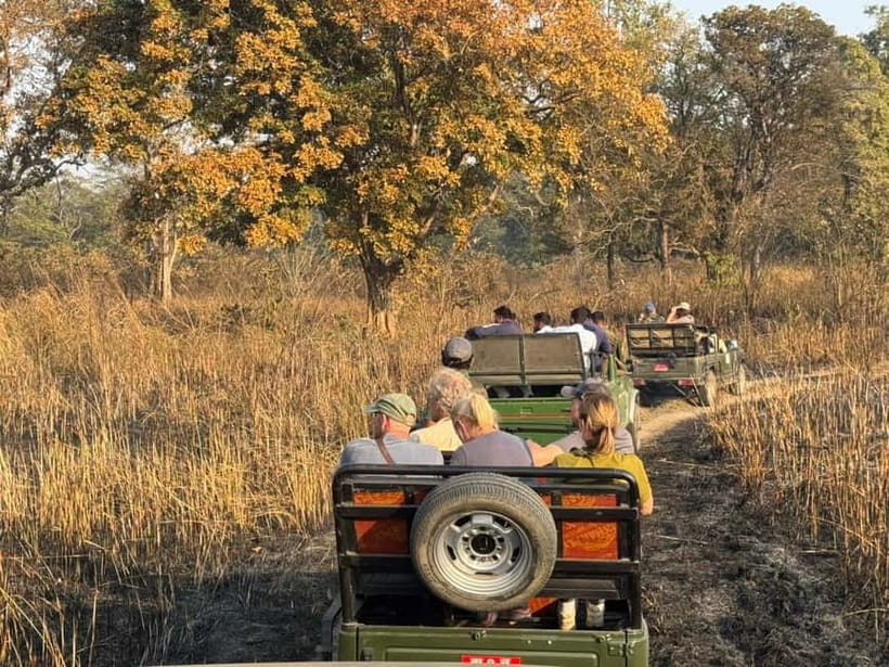 Kathmandu: 3-Day Chitwan Safari Tour with Hotel Transfers - Accommodation, meals, and the practical side