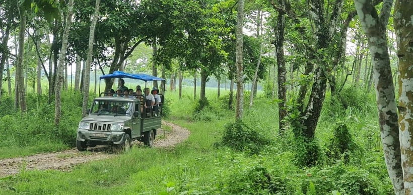 Kathmandu: 3-Day Chitwan Safari Tour with Hotel Transfers - Who should book this Chitwan safari?