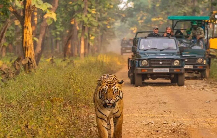 Kathmandu: 4-Day Private Chitwan National Park Safari Tour - Why four days works well in Chitwan