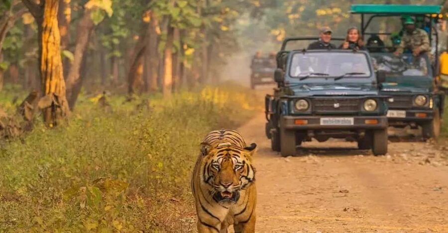 Kathmandu: 4-Day Private Chitwan National Park Safari Tour - Day 2: Jeep safari, Rapti River canoeing, and elephants