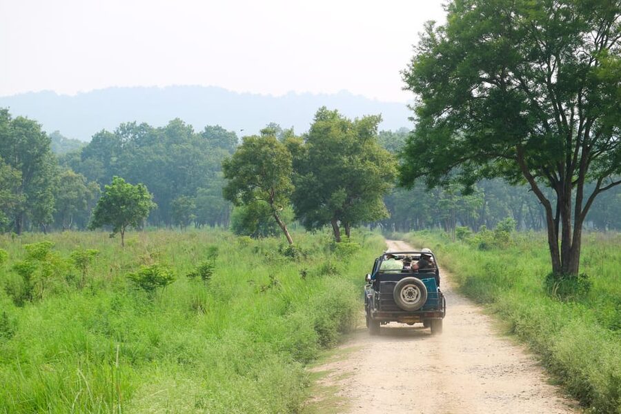 Kathmandu: 4-Day Private Chitwan National Park Safari Tour - Day 3: Choose a jungle walk or cycling to 20,000 Lake