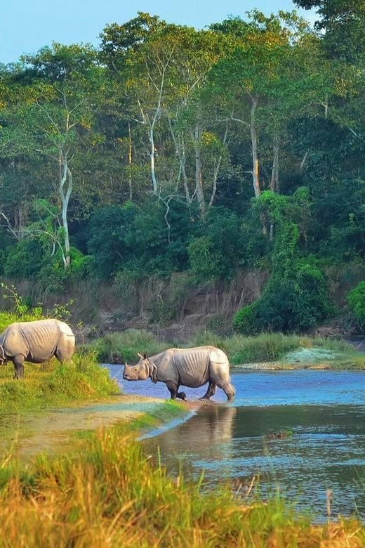 Kathmandu: 4-Day Private Chitwan National Park Safari Tour - Accommodation, food, and comfort
