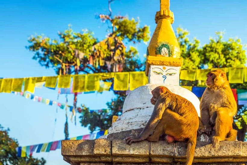 Kathmandu 4-Heritage Sites Tour - Who should book this Kathmandu tour