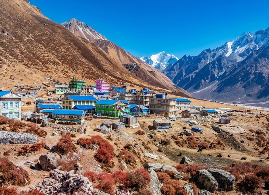 Kathmandu: 6-Day Limitless Langtang Trek - Day 6: The road back to Kathmandu
