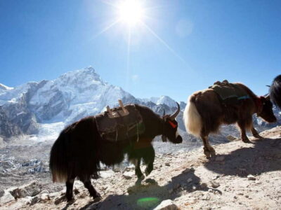 6 Days Langtang Valley Trek with Kyanjin Ri