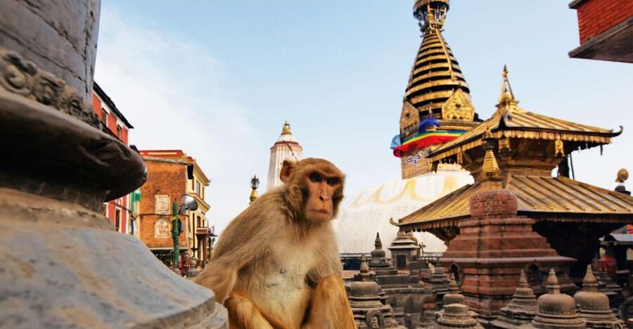 Kathmandu: Chandragiri cable car & Swayambhunath Tour - Two Kathmandu sights, two very different moods