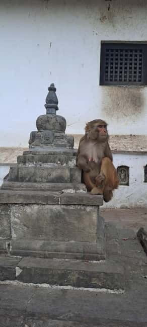 Kathmandu: Chandragiri cable car & Swayambhunath Tour - What the guide adds, and where to set expectations