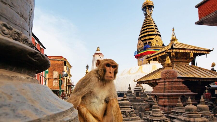 Kathmandu: Chandragiri cable car & Swayambhunath Tour - A 15-minute cable car ride above Kathmandu