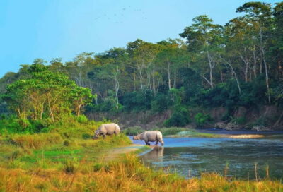 3 Day Chitwan Jungle Safari Tour