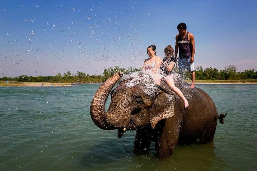 Kathmandu/Pokhara: 3 Day Chitwan Jungle Safari Tour - The lodge, food, and daily comfort
