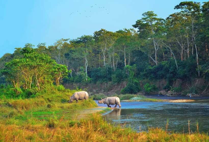 Kathmandu/Pokhara: 3 Day Chitwan Jungle Safari Tour - Why the $129 price can be good value