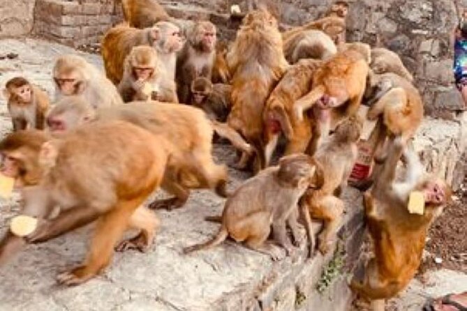 Kathmandu Private Sightseeing Tour | UNESCO World Heritage Sites - Bhaktapur Durbar Square and the old royal setting