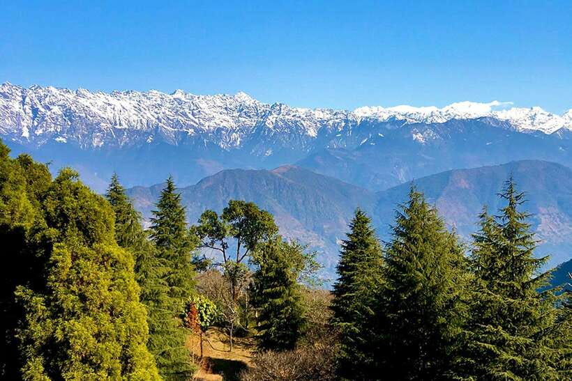 Kathmandu: Shivapuri Day Hike with Lunch - Bamboo forest, birds, and possible wildlife