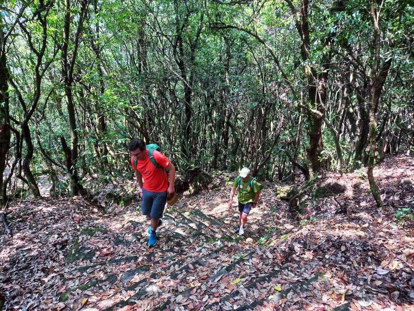 Kathmandu: Shivapuri Day Hike with Lunch - Who should book this hike?