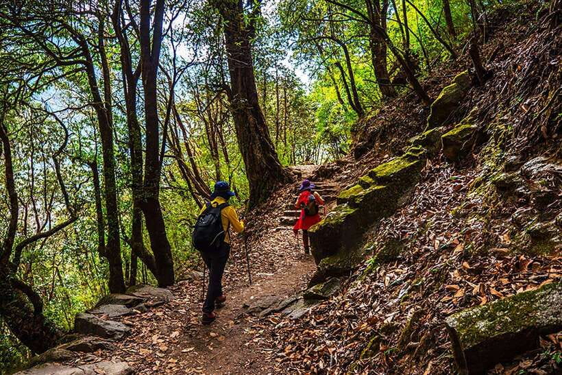 Kathmandu: Shivapuri Day Hike with Lunch - Booking details worth knowing