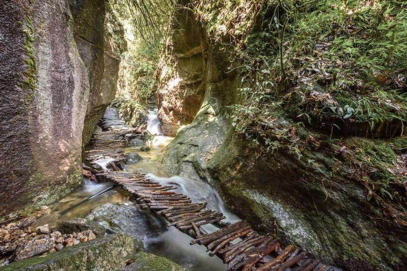 Kathmandu: Shivapuri Hill Day Hike with Lunch box - Key points to know before you book