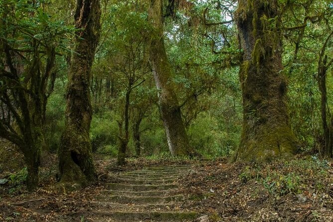 Kathmandu Shivapuri National Park and Nagarkot Hiking - 3 Days - Langtang Views on the Way to Chisopani