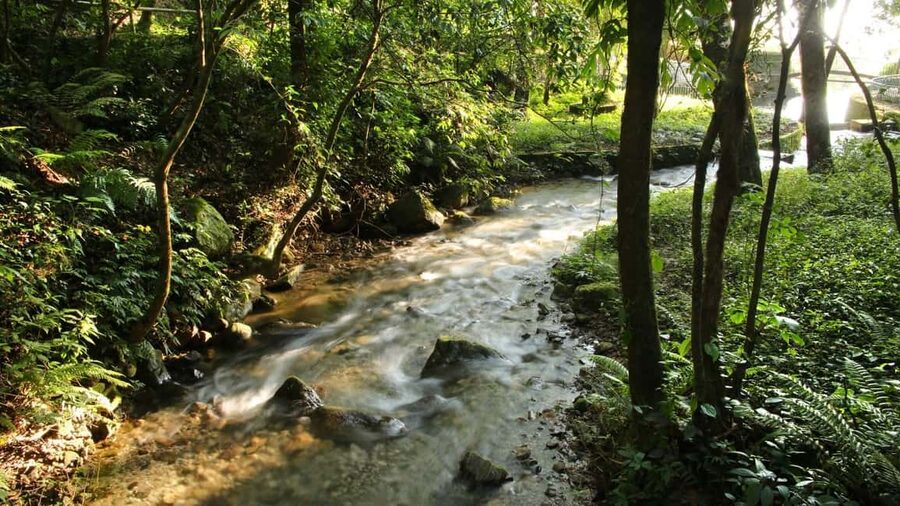 Kathmandu: Shivapuri National Park Hiking Day Trip - Is $61 good value?