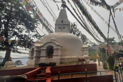 Kathmandu Top 4 or 2 UNESCO World Heritage Sites Day Tour