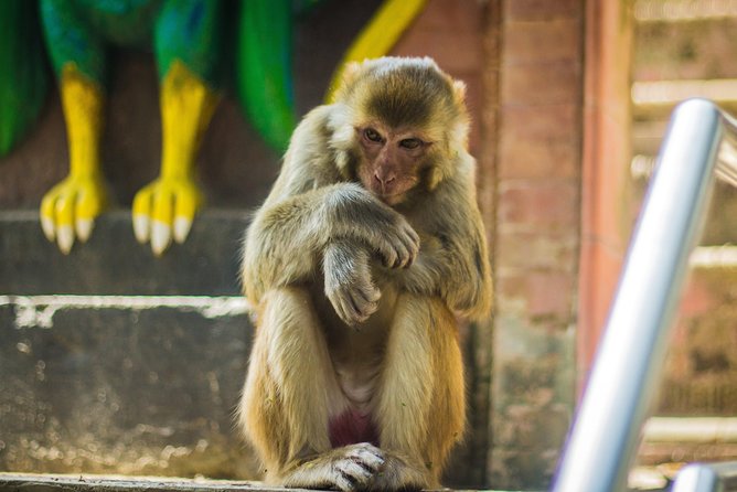 Kathmandu Valley Trek - What the $283 price really covers