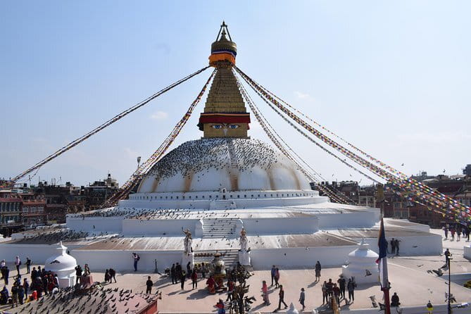 Kirtipur & Swayambhu Trip from Kathmandu: Local Eats and Drinks - What the $80 price covers