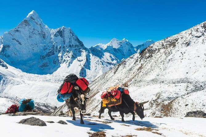 Langtang Trek from Kathmandu 7 Days - Day 4: Kyanjin Gompa and the high point toward Kyanjin Ri